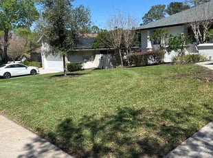 Debra H.'s turf care service result
