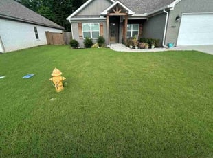 Daniel A.'s grass cutting service result