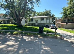 Ruben D.'s lawn care service result
