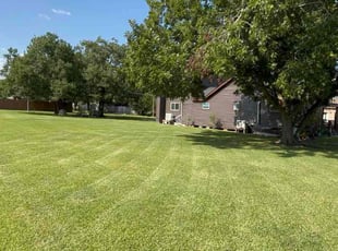 Brian A.'s grass cutting service result