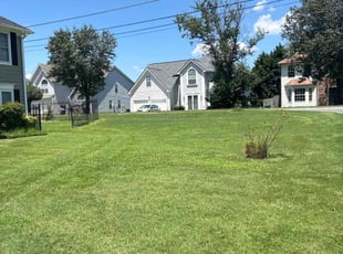 Jamie M.'s Long Grass Cleanup service result