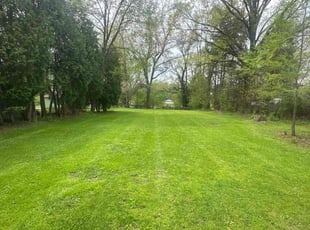Dan C.'s turf care service result