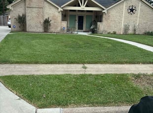 Zach F.'s lawn maintenance service result