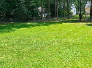 Julie E.'s landscaping service result