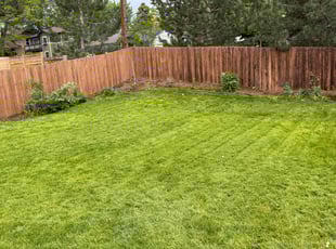 Tom S.'s grass maintenance service result