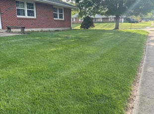 Marilyn P.'s lawn maintenance service result