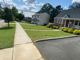 Marie K.'s lawn care service result