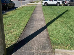 Theresa G.'s lawn maintenance service result