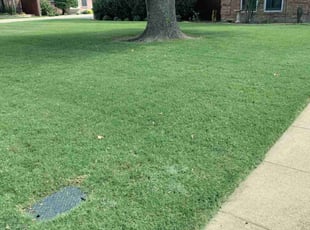 Alicia K.'s lawn maintenance service result
