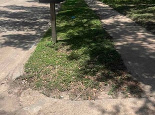 Frances A.'s lawn care service result