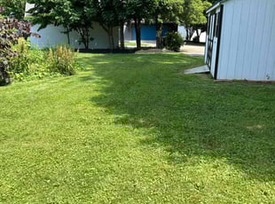 John P.'s grass maintenance service result