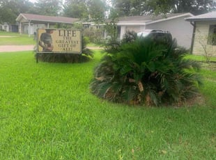 Dao H.'s lawn service service result