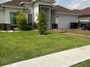 Jeremy P.'s grass maintenance service result