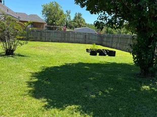 Jim H.'s turf maintenance service result