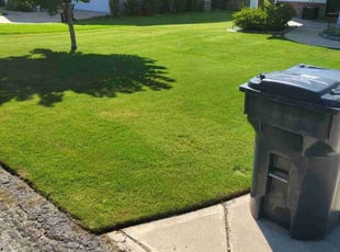 John B.'s grass maintenance service result