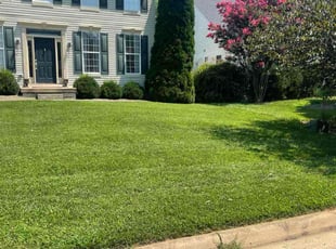 Joan S.'s turf maintenance service result