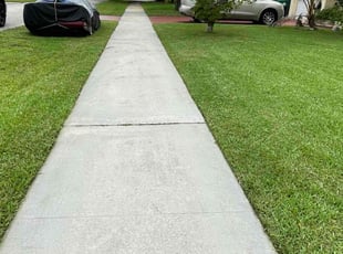 Jason S.'s lawn service service result