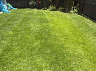 Zoe F.'s turf maintenance service result