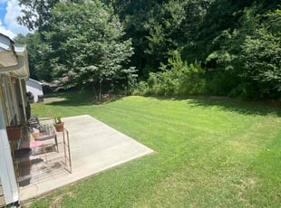 Leslie M.'s turf care service result