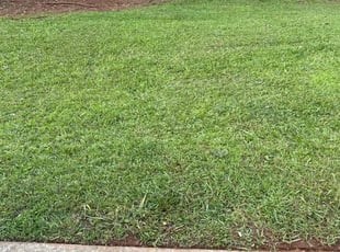 Joyce O.'s lawn care service result