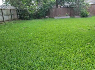 Pierre G.'s yard service service result