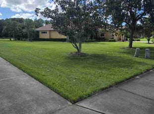 Chase M.'s turf care service result