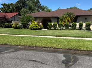Pamela G.'s turf care service result