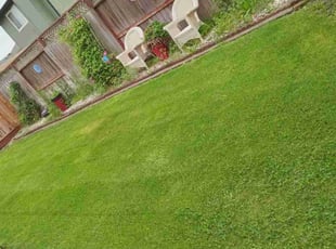 Jaime T.'s grass cutting service result