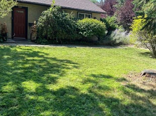 Nichole F.'s grass cutting service result