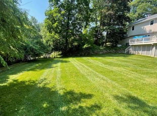 Rich S.'s grass cutting service result