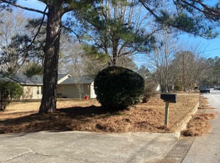 Charlie F.'s Bush Trimming service result