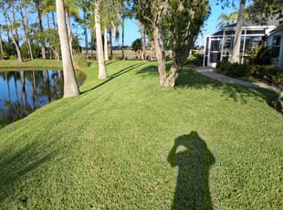 Jacob C.'s grass cutting service result