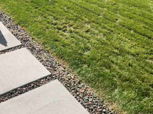 Michelle H.'s lawn care service result