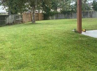 Melanie A.'s grass cutting service result