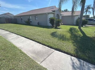 Limin C.'s grass cutting service result
