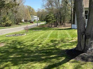 Terrence M.'s grass cutting service result