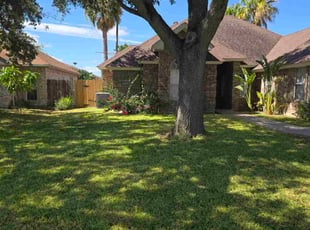 Matt L.'s lawn maintenance service result