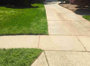 Dejo J.'s lawn care service result