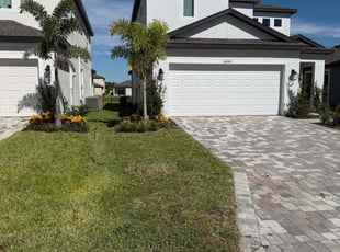 Judy P.'s grass maintenance service result