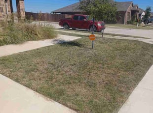 Isabella L.'s turf care service result