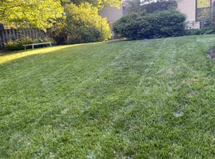 Kevin R.'s lawn care services service result