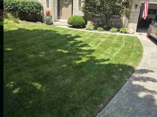 Glenn T.'s grass cutting service result