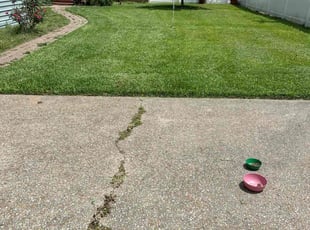 Holly S.'s lawn service service result