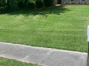Mary D.'s lawn care services service result