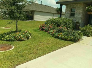 Phillip A.'s landscape maintenance service result