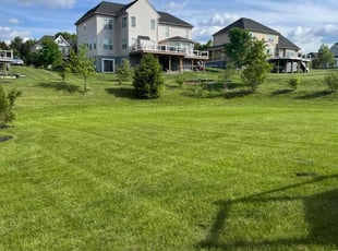 Elizabeth I.'s grass cutting service result