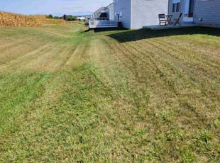 Alden R.'s grass cutting service result