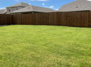 Michael B.'s grass cutting service result