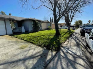 Jay L.'s turf maintenance service result