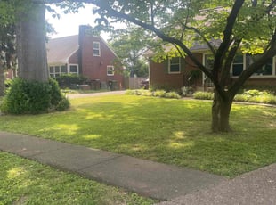 Monica O.'s grass cutting service result